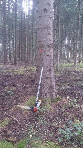 Les méthodes d'inventaire forestier Forest Time
