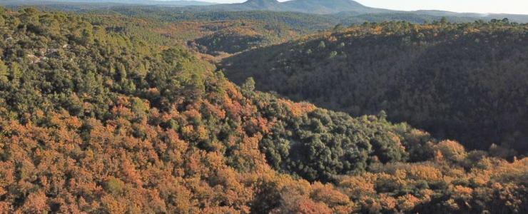 Propriété de loisirs en Provence Verte