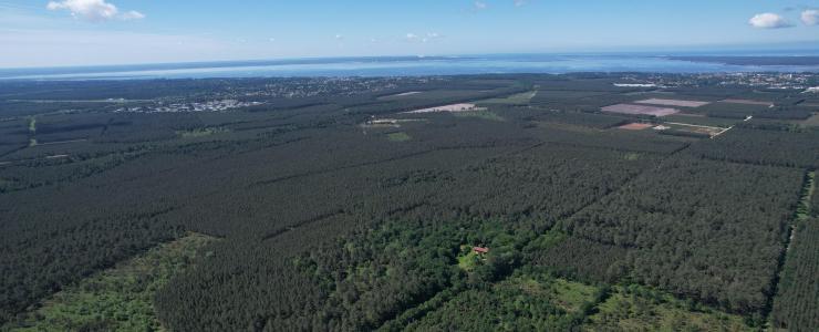 Propriété bâtie en bordure d'océan et au cœur des pins