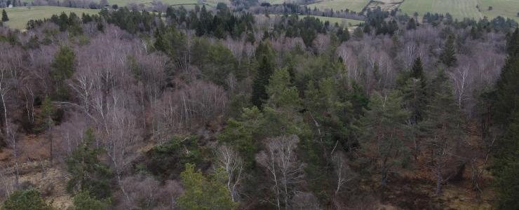 Espace de biodiversité avec Tourbière dans le Puy-de-Dôme