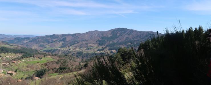 Forêt Investissement en visite en forêt du Cheylard