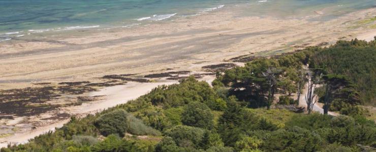 17 Charente Maritime - Une propriété forestière morcelée