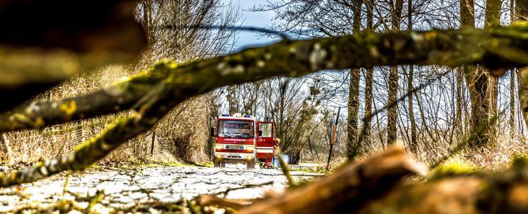 Incendie : que faire pour protéger son patrimoine forestier ?