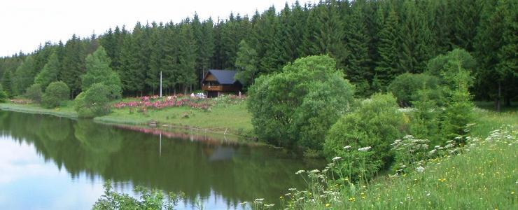 Chalés e lagoa no meio da floresta