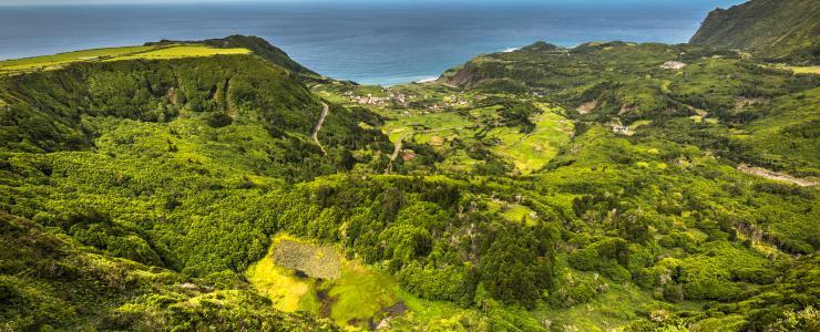 Portugal: A very vibrant wood sector