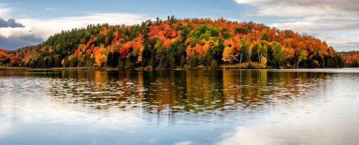 What is forest management like in Québec?