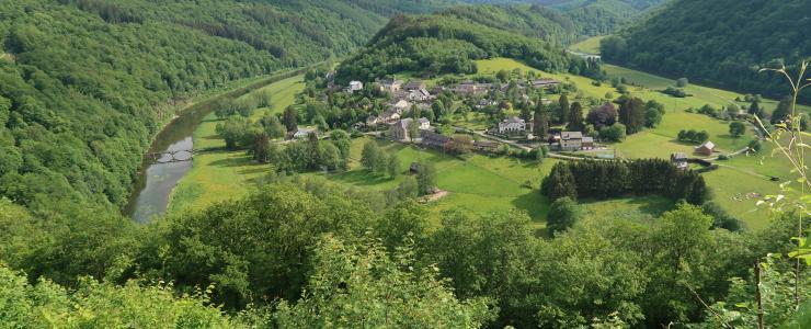 Les Belges, premiers acheteurs étrangers de forêts Françaises