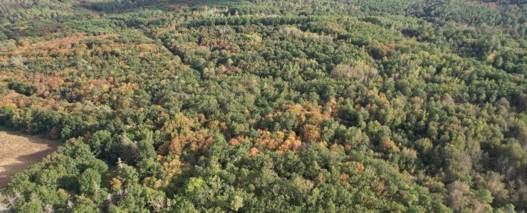 Propriété clôturée avec bâtis en Dordogne