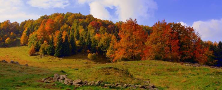 70 Haute Saône - Agriculture et forêts se partagent le territoire