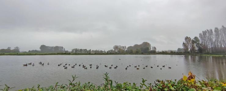 Propriété rurale dans Le Pas-de-Calais