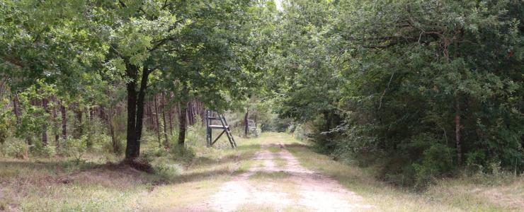 Hunting enclosure in Dordogne