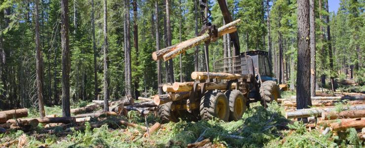 Les Coopératives Forestières