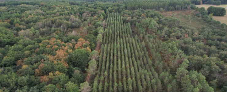 Propriété clôturée avec bâtis en Dordogne