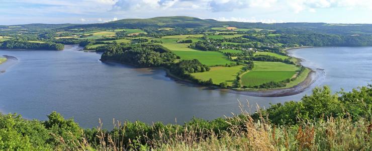 29 Finistère - Des forêts majoritairement destinées à la production