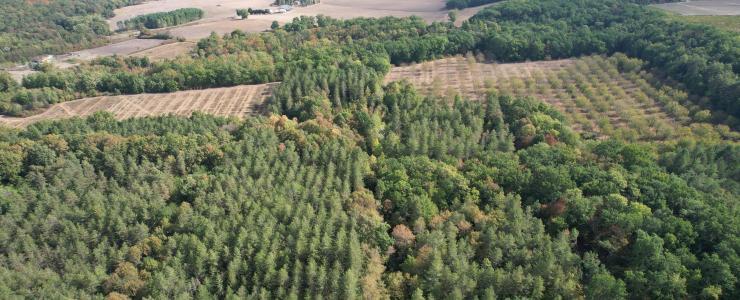 Propriété agricole et forestière proche de Saint-Émilion