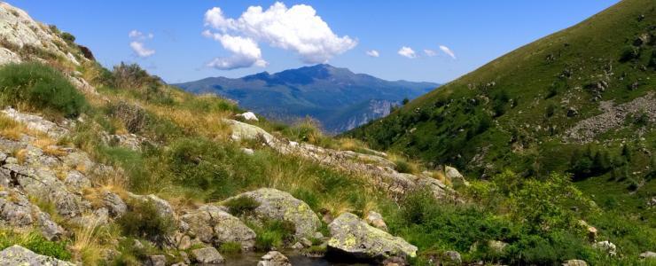 09 Ariège - Des forêts conservatrices de la biodiversité