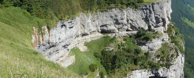 26 Drôme - Des essences forestières variées et une forêt hétérogène