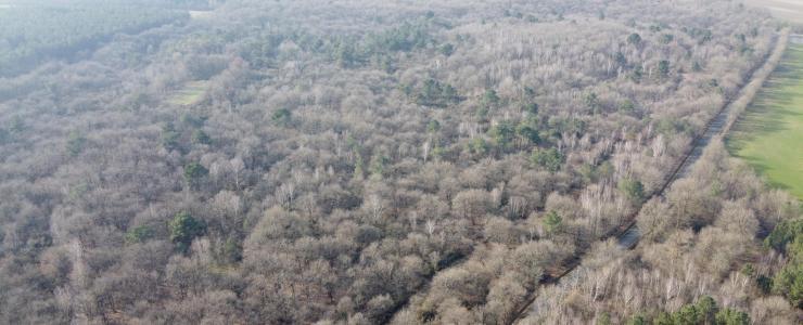 Propriété forestière dans le Parc Naturel Loire-Anjou-Touraine