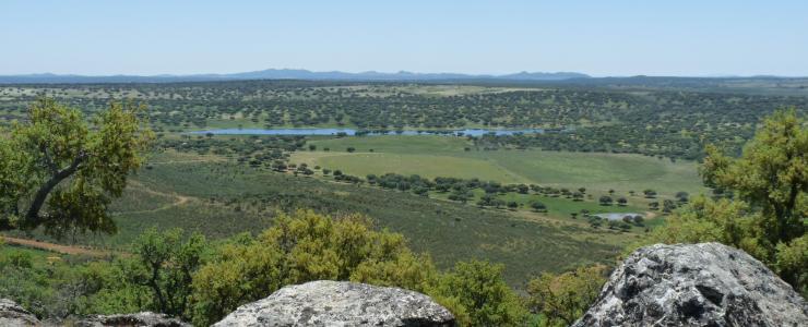 Propriedade na região da Estremadura, no centro Oeste da Espanha, perto da fronteira com Portugal