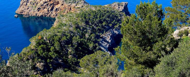 2B Haute Corse - Des formations boisées de production importantes