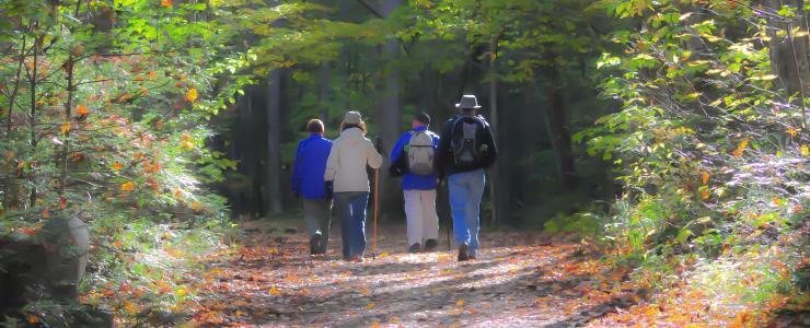 Pays de la Loire - Une forte demande mais les forêts à la vente sont rares