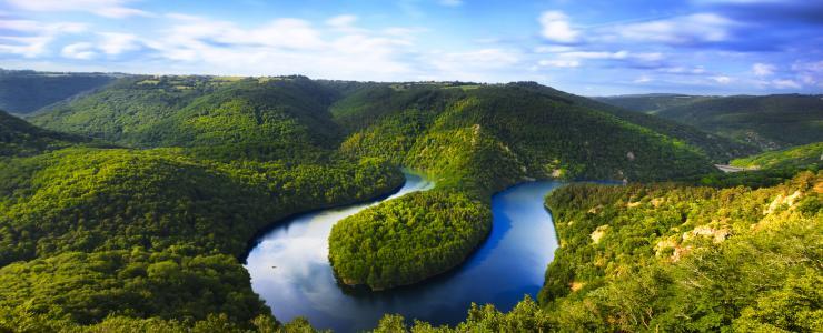 The forests of the Massif Central