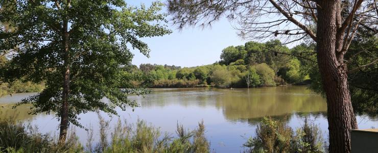 Couto de caça em Dordogne