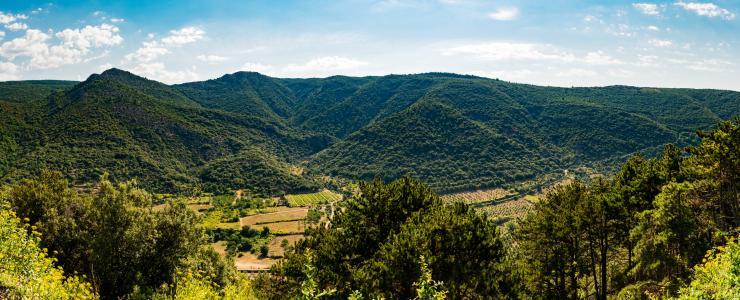 History of the French forest