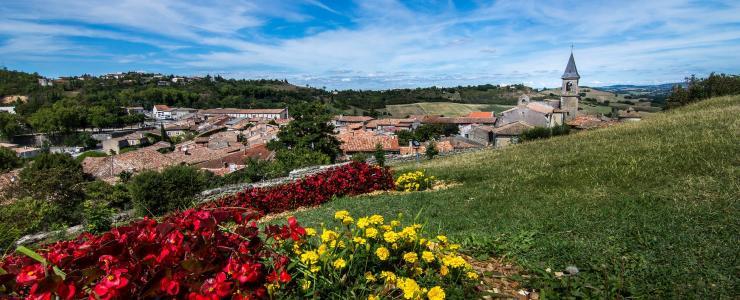 81 Tarn - Une des plus belles terres à douglas