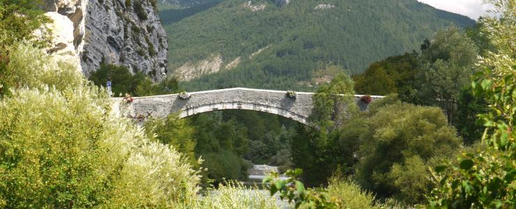 04 Alpes de Haute Provence - Un investissement forestier intéressant
