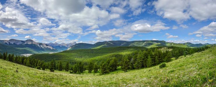 The Canadian subalpine forest Productive and utterly charming