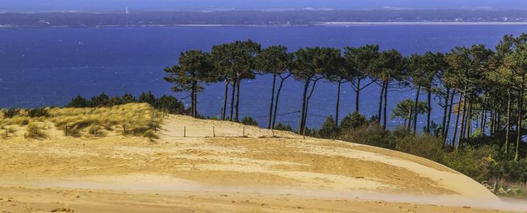 Nouvelle-Aquitaine - Dense forests that are constantly gaining ground