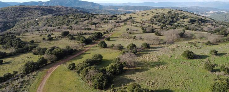 Propriété agricole et forestière aux portes de Clermont-L'Hérault