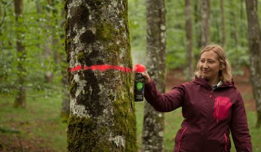 Gestionnaire forestier au féminin