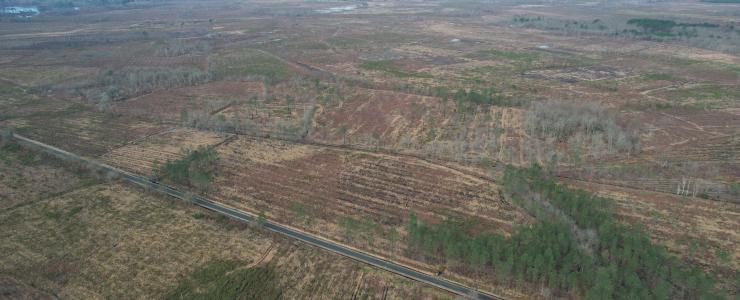 Propriété forestière en Gironde
