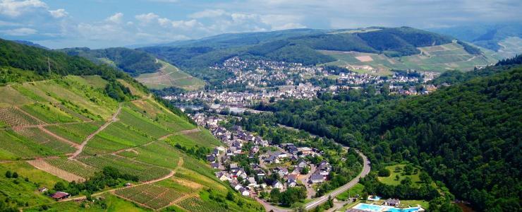 57 Moselle - Une propriété privée rare, la vente de forêts en est d'autant plus prisée