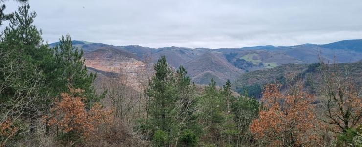 Domaine forestier en Aveyron