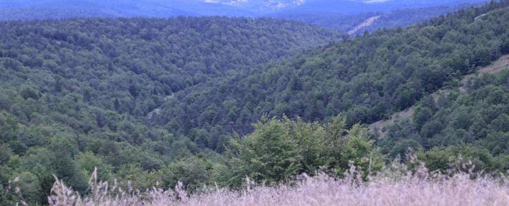 Propriedade de caça em Lozère