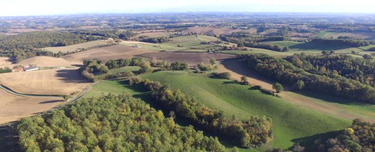 Production forest in the Gers