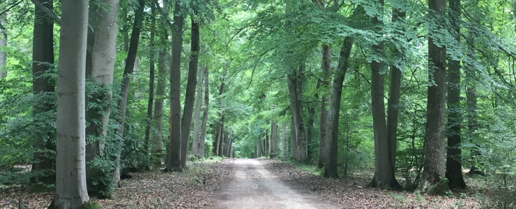 Nouvelle forêt dans l'Eure pour Groupama Immobilier