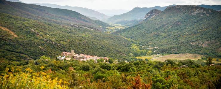 11 Aude - Faune et forêts en harmonie