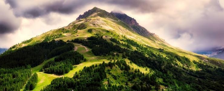 Buying a forest in France: The main forest regions in France