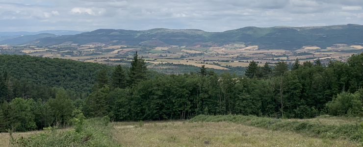 Pourquoi acheter une forêt en 2022 ?