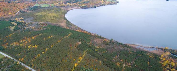 Forest hunting estate, with possibility to build, in the Outaouais area of the Province of Quebec, one and half hours from Boston and New York.