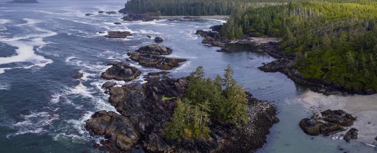 The coastal forest, Canada’s national treasure