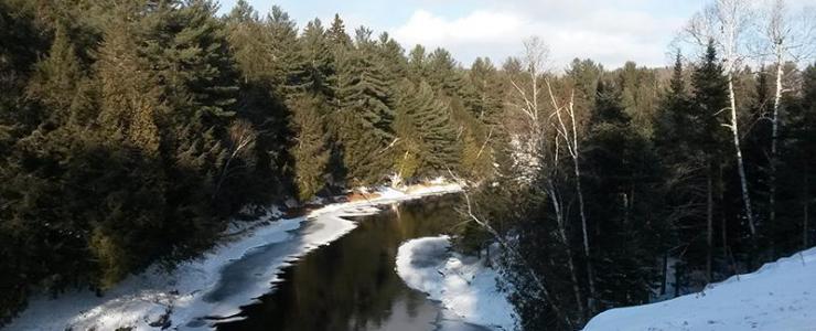 Divisible forest estate in the Papineau regional municipality; Forest Chemin Gagnon - Western Quebec