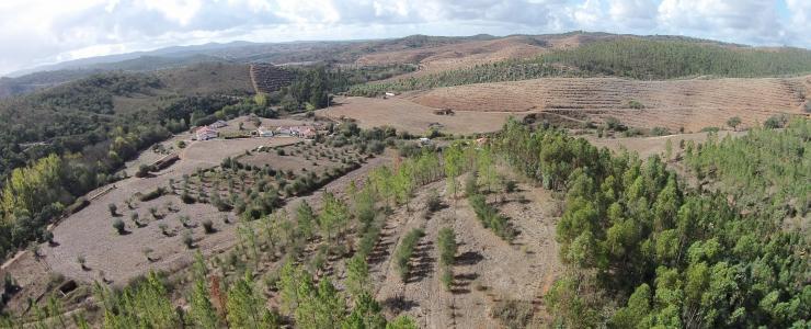 Propriedade agroflorestal de 90 ha, com casa e diversas ruínas, em Odemira, Costa Alentejana