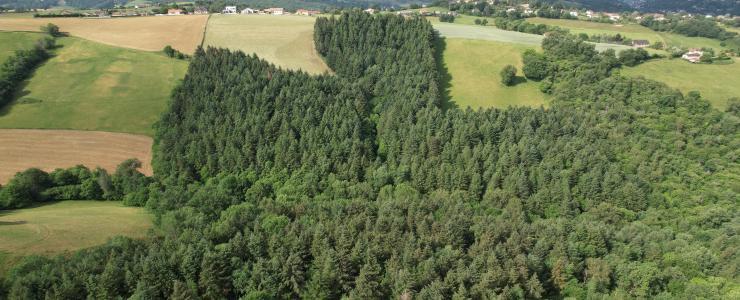 Domaine forestier dans le Nord Aveyron