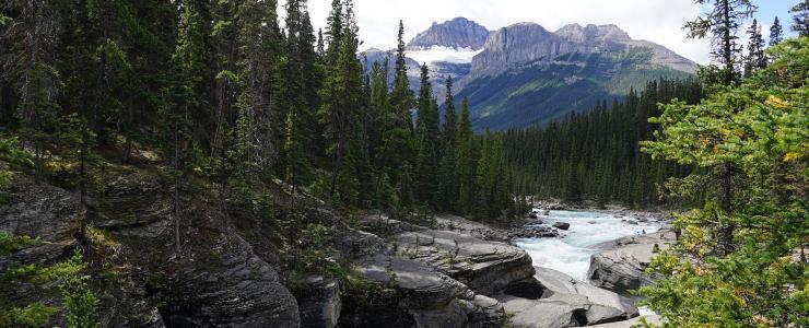 O Canadá, país florestal de eleição