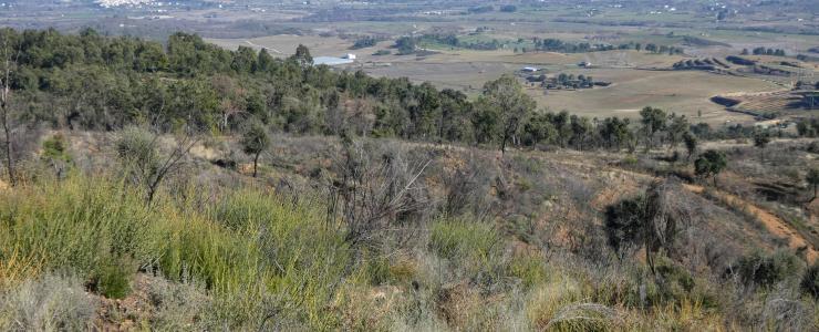 Propriedade Florestal na Região Centro de Portugal